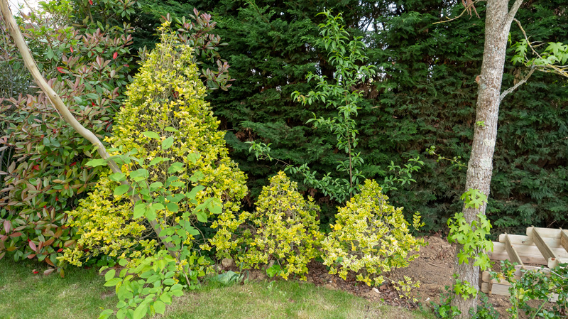 Aménagement d'espaces verts Élancourt